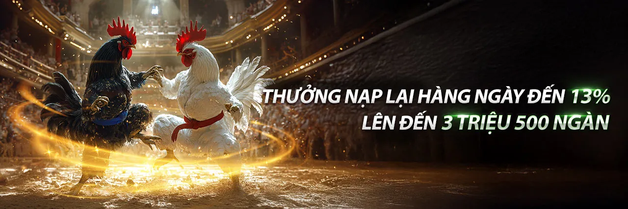 Đá gà trực tuyến vn68 web với trận đấu kịch tính